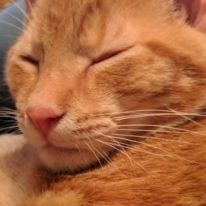 Meet your Posher, Jesse